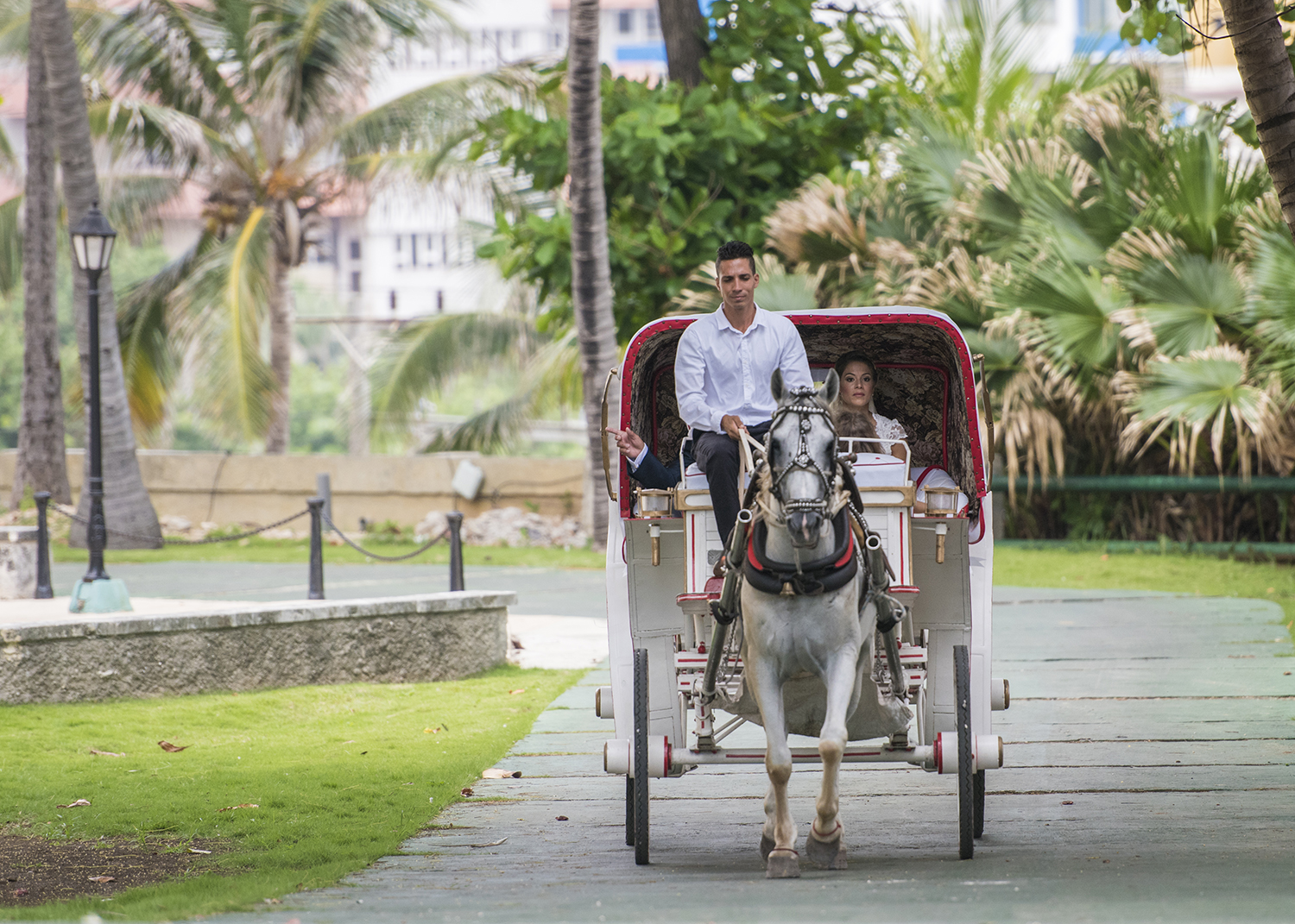 La novia llega en coche de caballos por los jardines del Hotel Nacional para su ceremonia de boda.